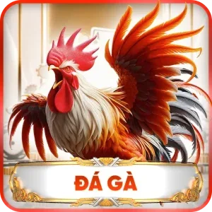 Sảnh đá gà Kubet
